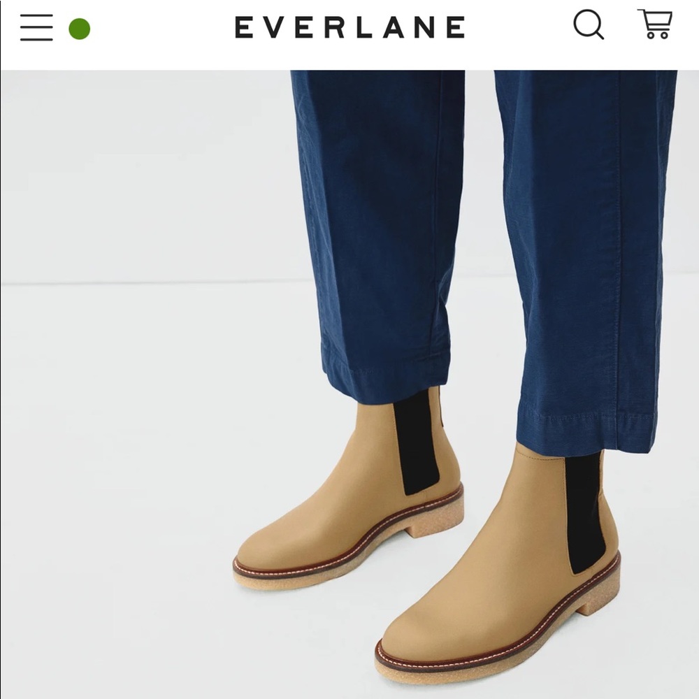 Everlane Italian Leather Boots